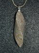 Agatized Dinosaur Bone Pendant - Green Spiderweb #4277-2